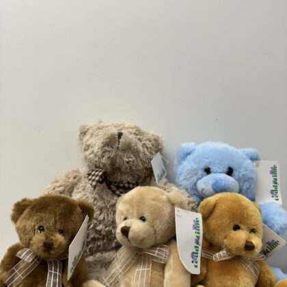Teddy Bear