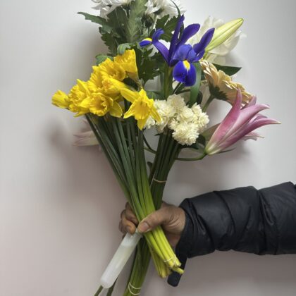 Cut Flowers