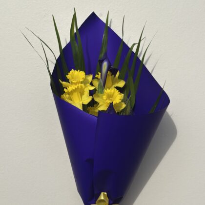 Daffidol-Iris Bouquet