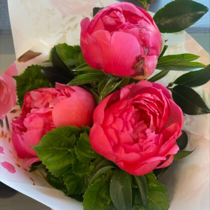 Peony Bouquet